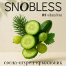 Табак SNOBLESS Vibes 25 гр - Gooseberry, Cucumber & Pine (Крыжовник, Огурец, Сосна)